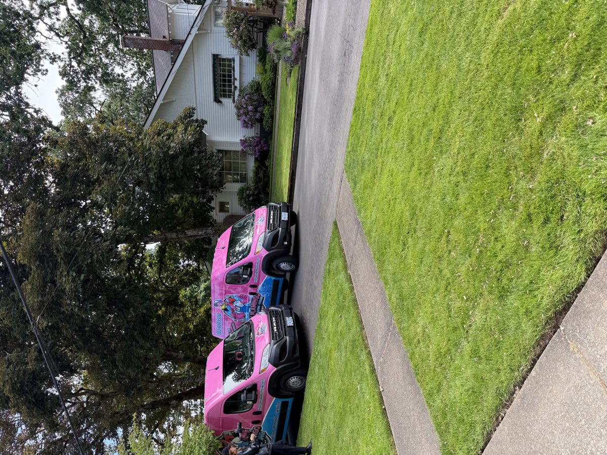 Pink Flamingo Plumbing van